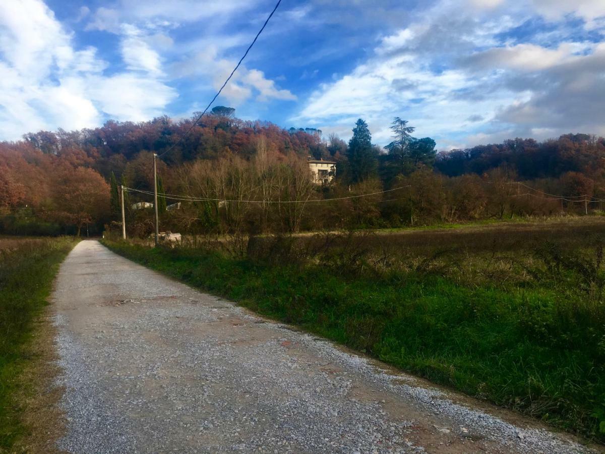 Villa Baronzola Montevarchi Kültér fotó