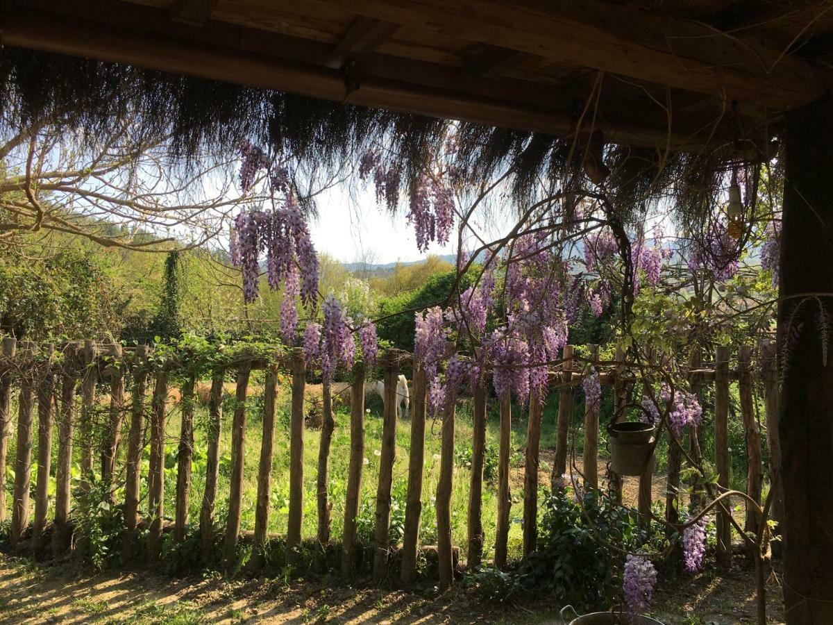 Villa Baronzola Montevarchi Kültér fotó